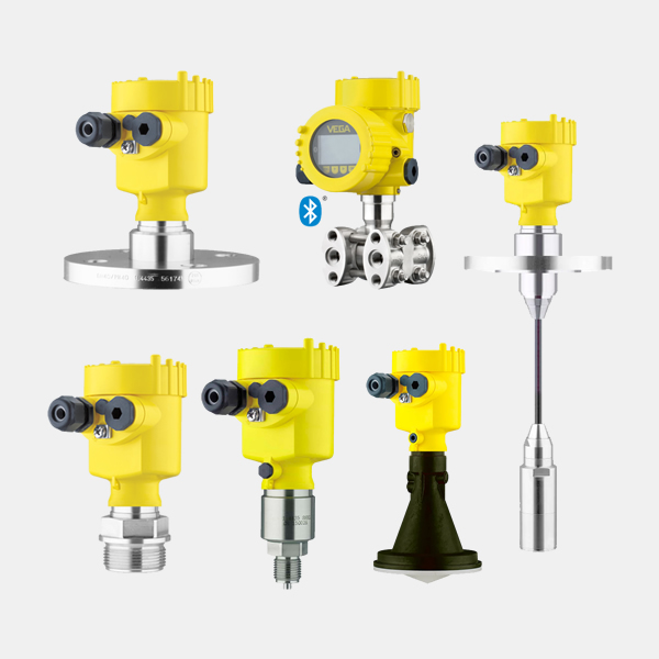 VEGA Measurement
